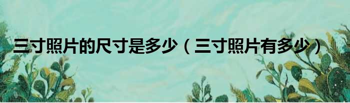 三寸照片的尺寸是多少（三寸照片有多少）