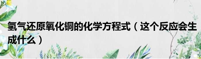 氢气还原氧化铜的化学方程式（这个反应会生成什么）