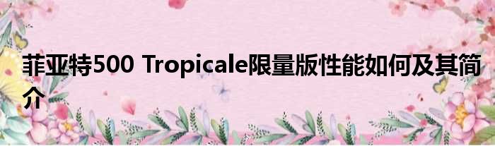 菲亚特500 Tropicale限量版性能如何及其简介