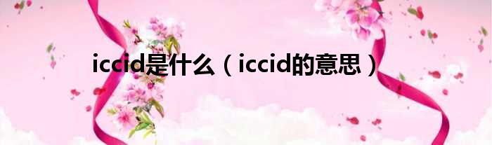 iccid是什么（iccid的意思）