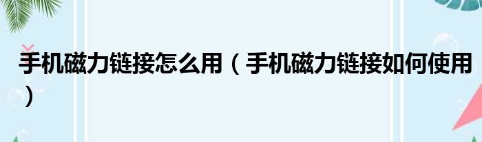 手机磁力链接怎么用（手机磁力链接如何使用）