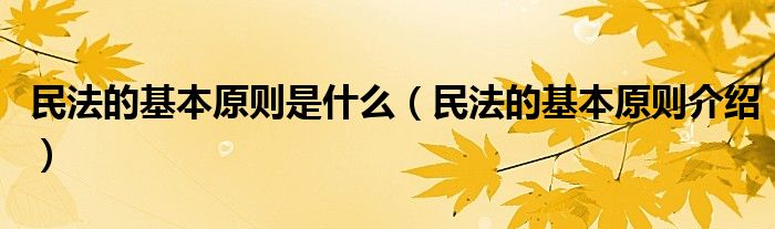 民法的基本原则是什么（民法的基本原则介绍）