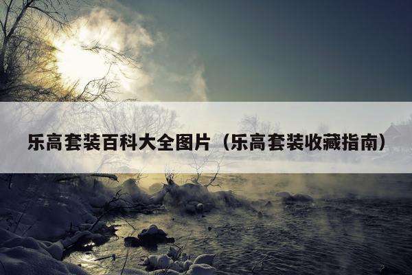 乐高套装百科大全图片（乐高套装收藏指南）