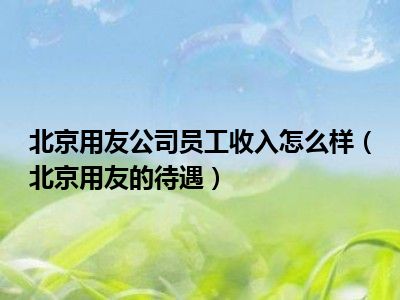 北京用友公司员工收入怎么样（北京用友的待遇）