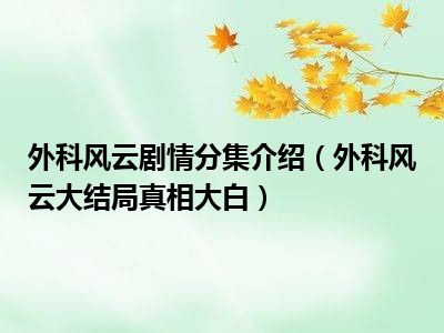 外科风云剧情分集介绍（外科风云大结局真相大白）