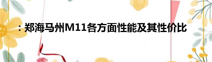 ：郑海马州M11各方面性能及其性价比