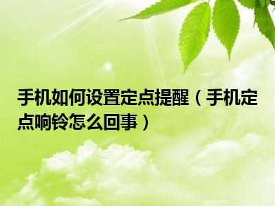 手机如何设置定点提醒（手机定点响铃怎么回事）