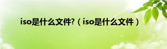  iso是什么文件 （iso是什么文件）