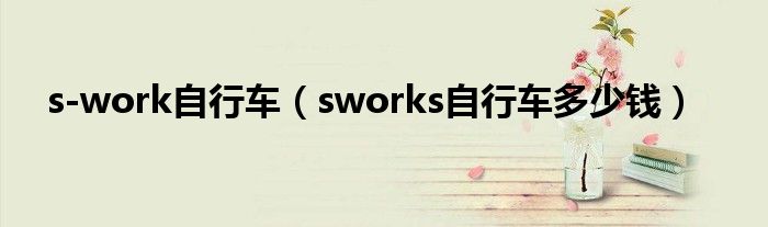  s-work自行车（sworks自行车多少钱）