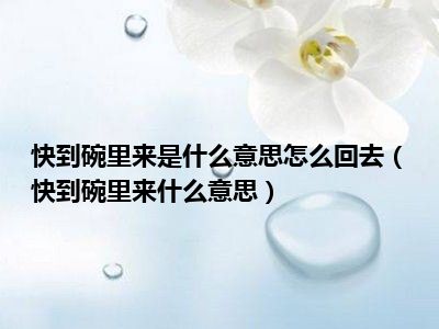 快到碗里来是什么意思怎么回去（快到碗里来什么意思）