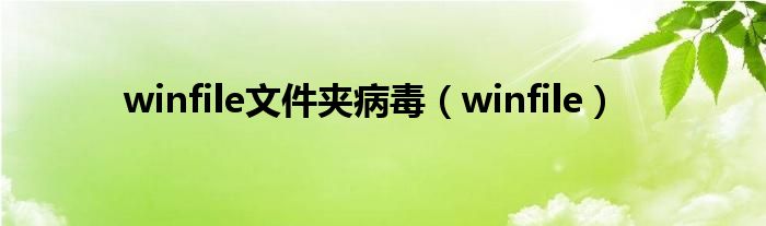  winfile文件夹病毒（winfile）