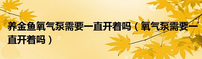  养金鱼氧气泵需要一直开着吗（氧气泵需要一直开着吗）