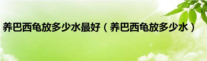  养巴西龟放多少水最好（养巴西龟放多少水）