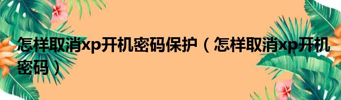 怎样取消xp开机密码保护（怎样取消xp开机密码）