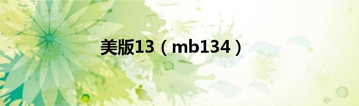  美版13（mb134）