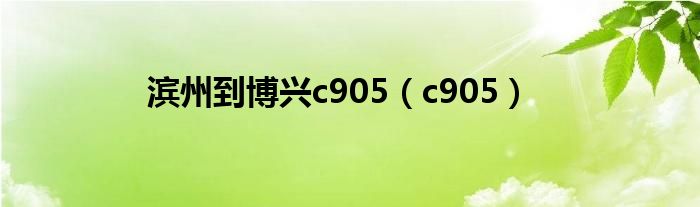  滨州到博兴c905（c905）