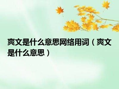 爽文是什么意思网络用词（爽文是什么意思）