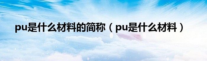  pu是什么材料的简称（pu是什么材料）