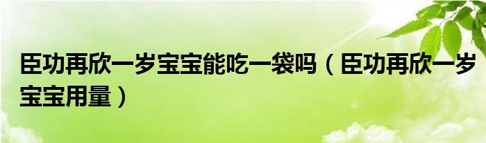  臣功再欣一岁宝宝能吃一袋吗（臣功再欣一岁宝宝用量）