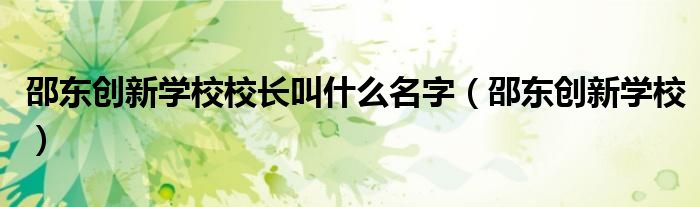  邵东创新学校校长叫什么名字（邵东创新学校）