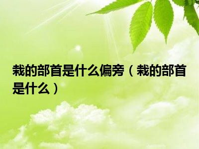 栽的部首是什么偏旁（栽的部首是什么）