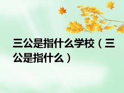 三公是指什么学校（三公是指什么）