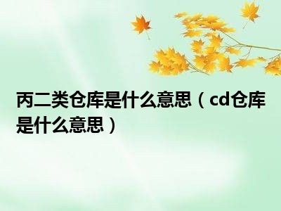 丙二类仓库是什么意思（cd仓库是什么意思）