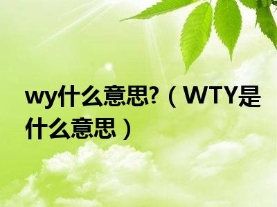 wy什么意思 （WTY是什么意思）