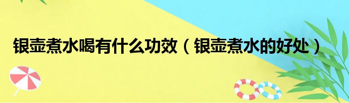 银壶煮水喝有什么功效（银壶煮水的好处）