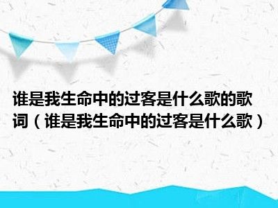 谁是我生命中的过客是什么歌的歌词（谁是我生命中的过客是什么歌）