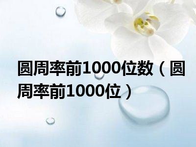 圆周率前1000位数（圆周率前1000位）