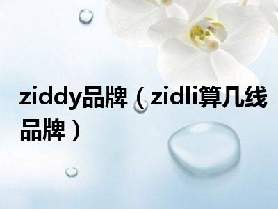 ziddy品牌（zidli算几线品牌）