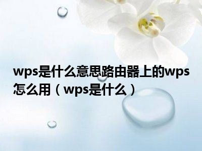 wps是什么意思路由器上的wps怎么用（wps是什么）