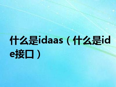 什么是idaas（什么是ide接口）