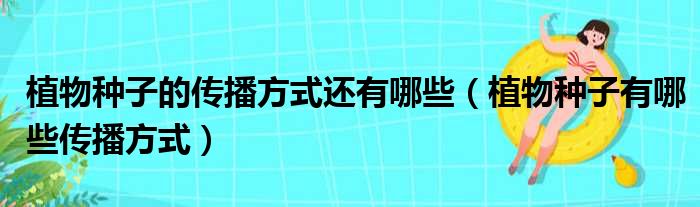 植物种子的传播方式还有哪些（植物种子有哪些传播方式）