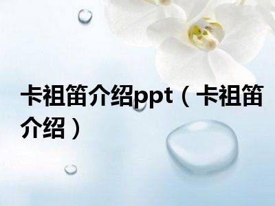 卡祖笛介绍ppt（卡祖笛介绍）