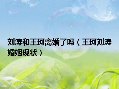 刘涛和王珂离婚了吗（王珂刘涛婚姻现状）