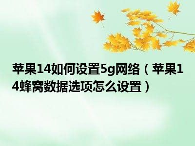 苹果14如何设置5g网络（苹果14蜂窝数据选项怎么设置）