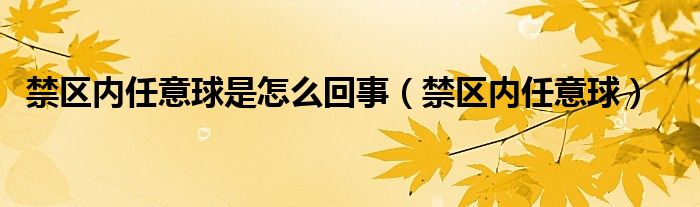  禁区内任意球是怎么回事（禁区内任意球）