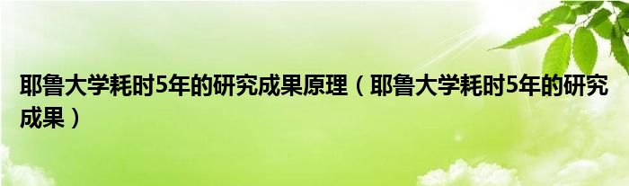  耶鲁大学耗时5年的研究成果原理（耶鲁大学耗时5年的研究成果）