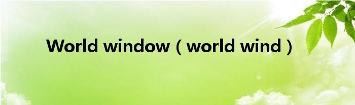  World window（world wind）