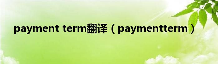  payment term翻译（paymentterm）