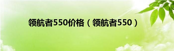  领航者550价格（领航者550）