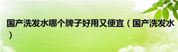  国产洗发水哪个牌子好用又便宜（国产洗发水）