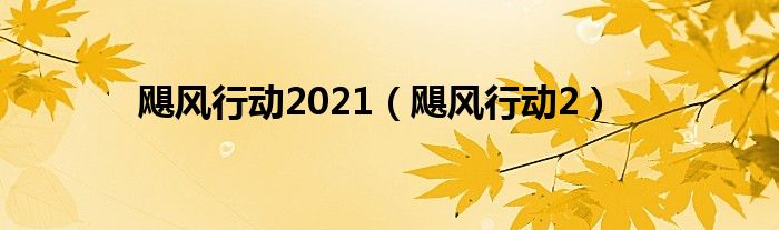  飓风行动2021（飓风行动2）