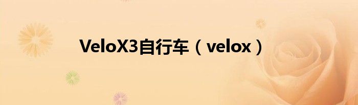  VeloX3自行车（velox）