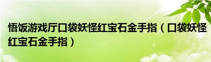  悟饭游戏厅口袋妖怪红宝石金手指（口袋妖怪红宝石金手指）