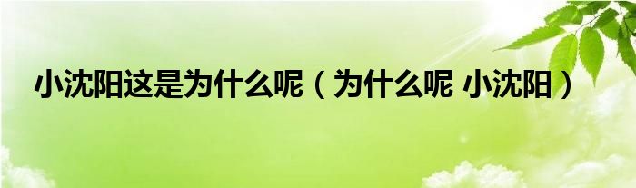  小沈阳这是为什么呢（为什么呢 小沈阳）