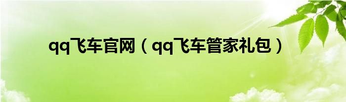  qq飞车官网（qq飞车管家礼包）