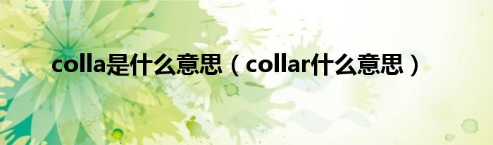  colla是什么意思（collar什么意思）